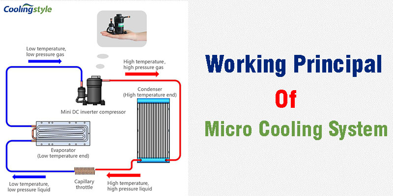 マイクロクーリングシステムの導入 冷却スタイル